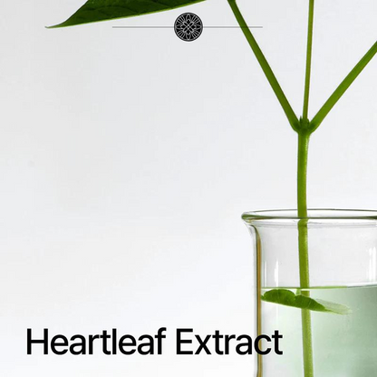 ANUA™ | Heartleaf Pore Control Oil