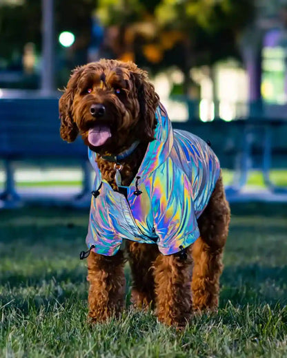 Lunar Pooch Reflective Hoodie